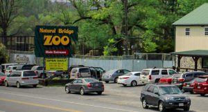 Read more about the article Natural Bridge Zoo